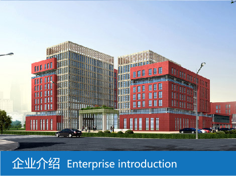一工干混砂漿設備案例
